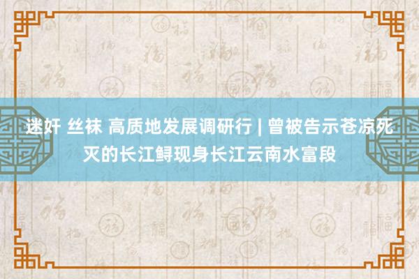 迷奸 丝袜 高质地发展调研行 | 曾被告示苍凉死灭的长江鲟现身长江云南水富段