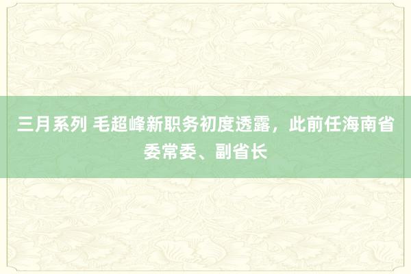 三月系列 毛超峰新职务初度透露，此前任海南省委常委、副省长