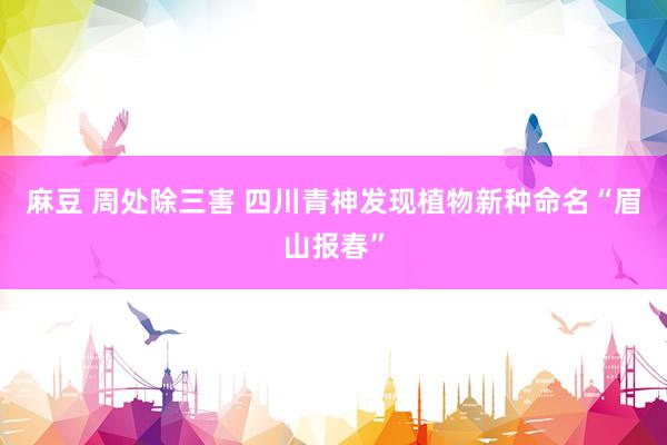 麻豆 周处除三害 四川青神发现植物新种命名“眉山报春”