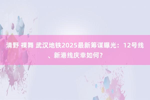 清野 裸舞 武汉地铁2025最新筹谋曝光：12号线、新港线庆幸如何？