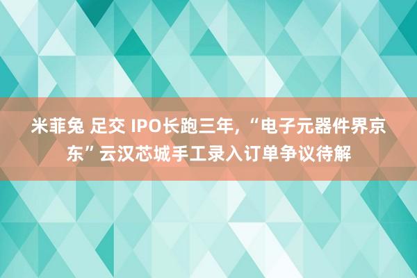 米菲兔 足交 IPO长跑三年， “电子元器件界京东”云汉芯城手工录入订单争议待解