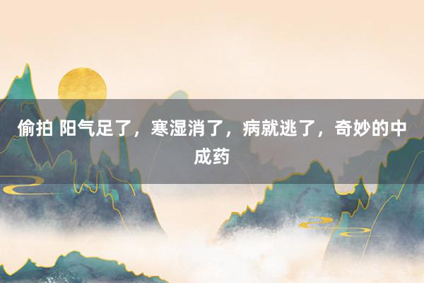 偷拍 阳气足了，寒湿消了，病就逃了，奇妙的中成药